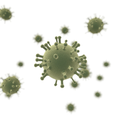 Abbildung: Virus-Zellen in mikroskopischer Ansicht (3D-Rendering)einer Virus-Zelle im Mikroskop