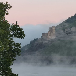 Foto: eine Burgruine im Hang des Mitterheintals, eingehüllt in vom Rhein aufsteigendem herbstlichen Nebelschwaden